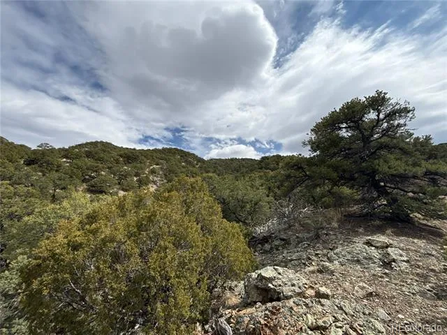189 Cedar Ridge Road Mosca, CO 81146