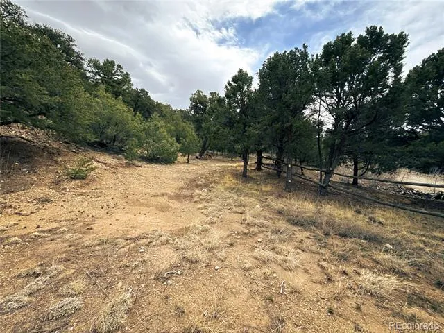 189 Cedar Ridge Road Mosca, CO 81146