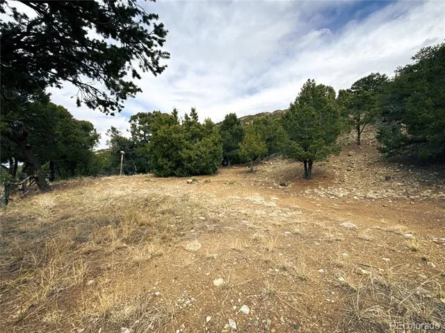 189 Cedar Ridge Road Mosca, CO 81146