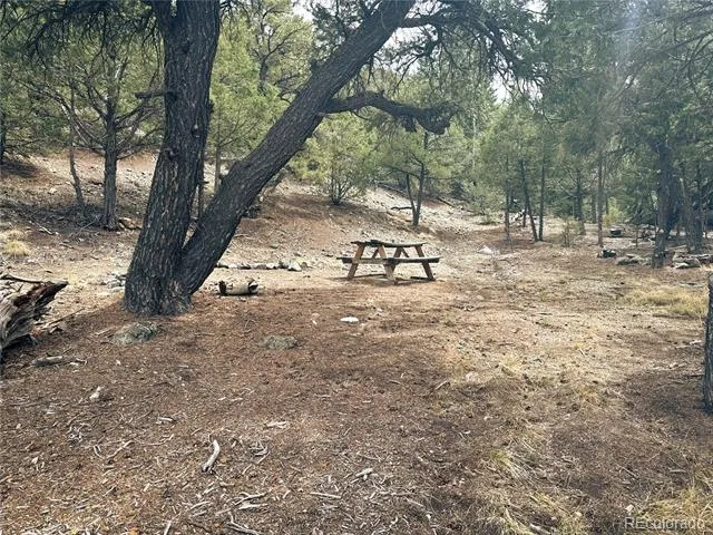 189 Cedar Ridge Road Mosca, CO 81146