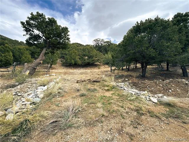 189 Cedar Ridge Road Mosca, CO 81146