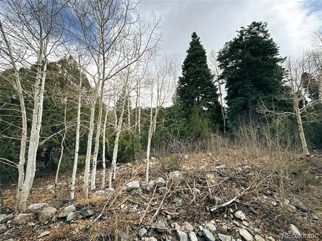 189 Cedar Ridge Road Mosca, CO 81146
