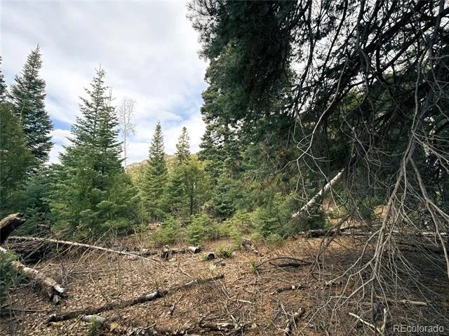 189 Cedar Ridge Road Mosca, CO 81146
