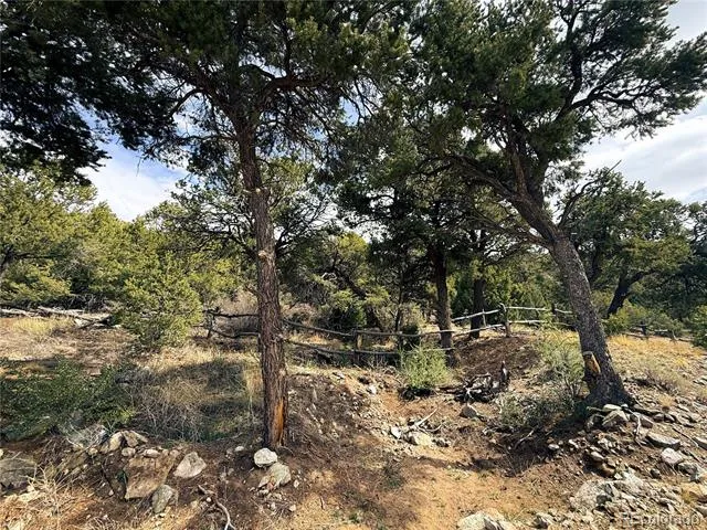 189 Cedar Ridge Road Mosca, CO 81146