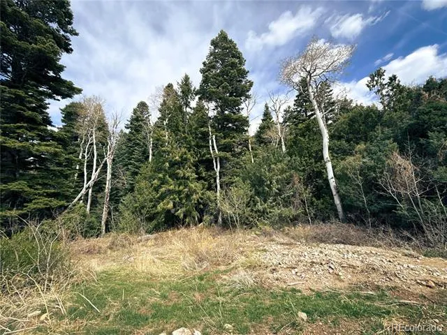 189 Cedar Ridge Road Mosca, CO 81146