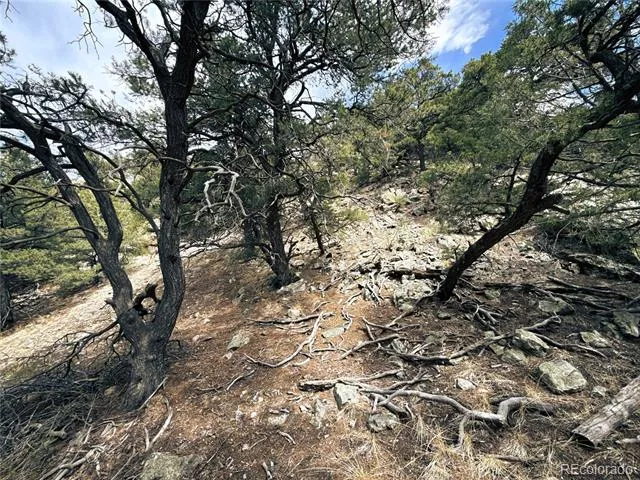 189 Cedar Ridge Road Mosca, CO 81146