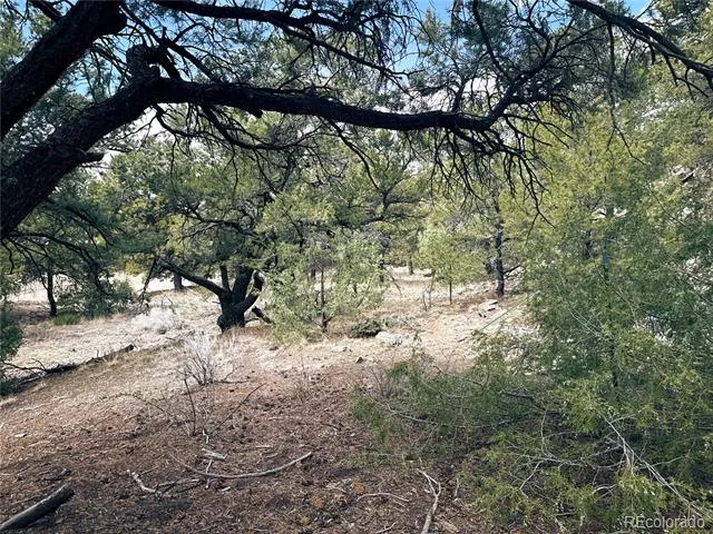 189 Cedar Ridge Road Mosca, CO 81146