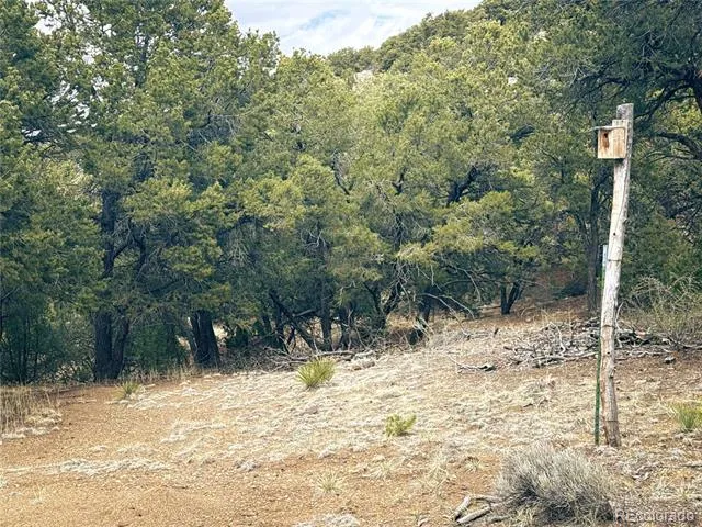 189 Cedar Ridge Road Mosca, CO 81146