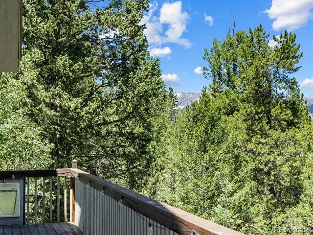 1705 Hummingbird Drive Estes Park, CO 80517