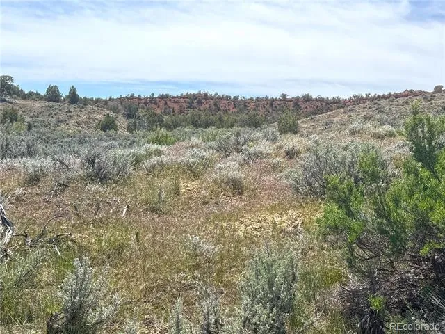 2 Valley Lane Dinosaur, CO 81610