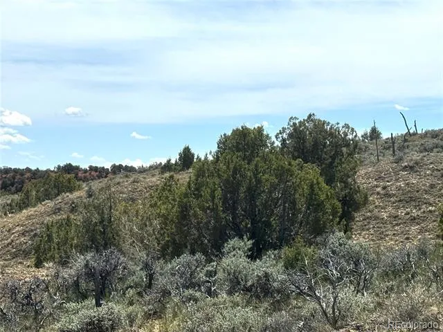 2 Valley Lane Dinosaur, CO 81610