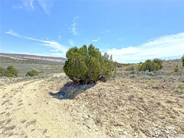 2 Valley Lane Dinosaur, CO 81610