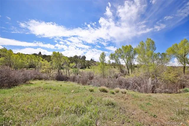 Address Not Shown Collbran, CO 81624