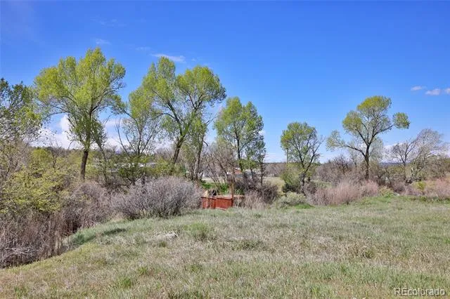 Address Not Shown Collbran, CO 81624