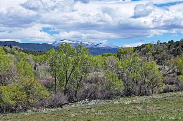 Address Not Shown Collbran, CO 81624