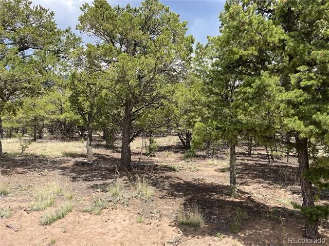 Tract 5 PHILLEO ANNEX Philleo Way Crestone, CO 81131