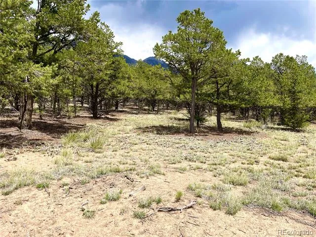 Tract 5 PHILLEO ANNEX Philleo Way Crestone, CO 81131