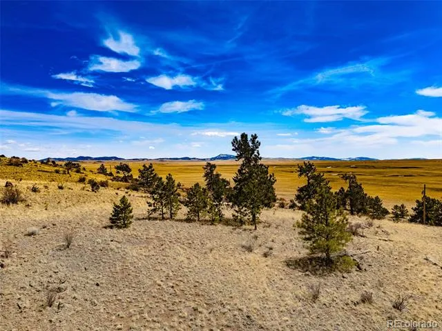 102 Pack Saddle Court Hartsel, CO 80449
