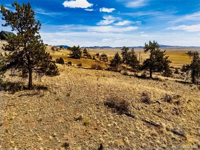 102 Pack Saddle Court Hartsel, CO 80449