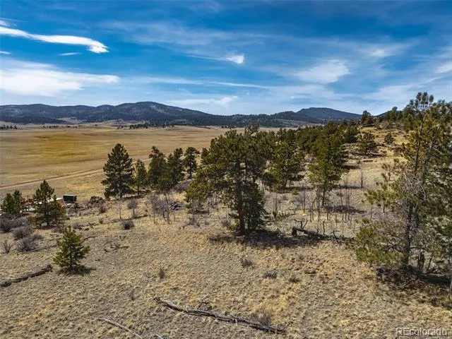 102 Pack Saddle Court Hartsel, CO 80449