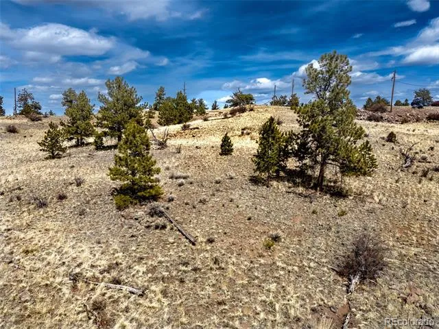 102 Pack Saddle Court Hartsel, CO 80449