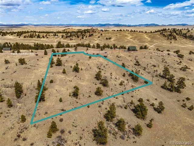 102 Pack Saddle Court Hartsel, CO 80449
