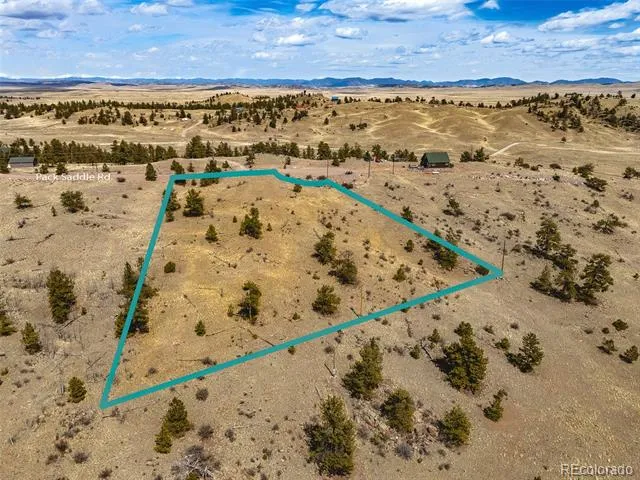 102 Pack Saddle Court Hartsel, CO 80449