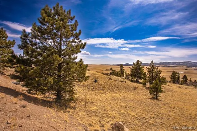 102 Pack Saddle Court Hartsel, CO 80449