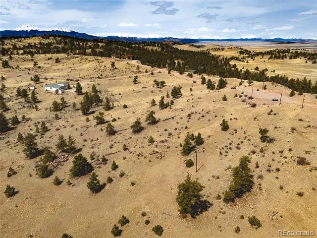102 Pack Saddle Court Hartsel, CO 80449