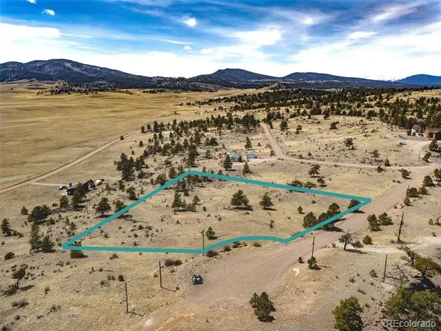 102 Pack Saddle Court Hartsel, CO 80449