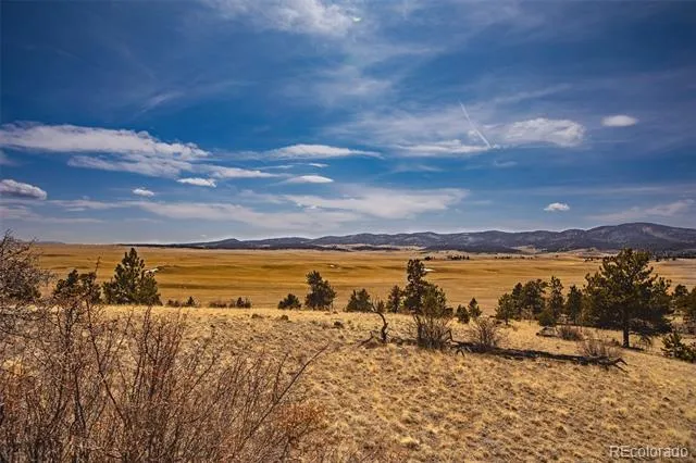 102 Pack Saddle Court Hartsel, CO 80449