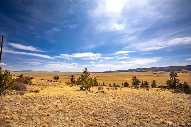 102 Pack Saddle Court Hartsel, CO 80449