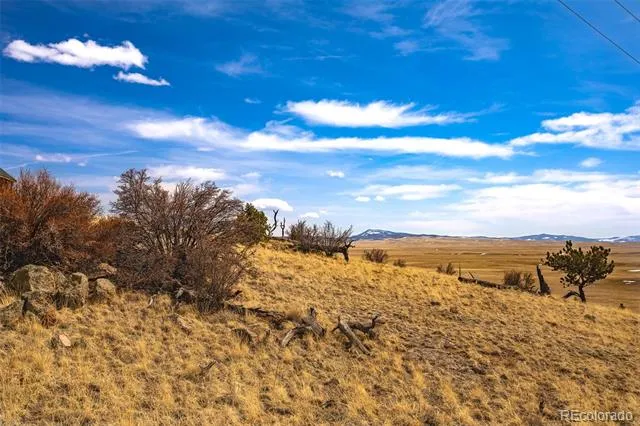 102 Pack Saddle Court Hartsel, CO 80449