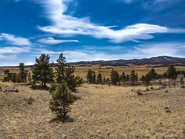 102 Pack Saddle Court Hartsel, CO 80449