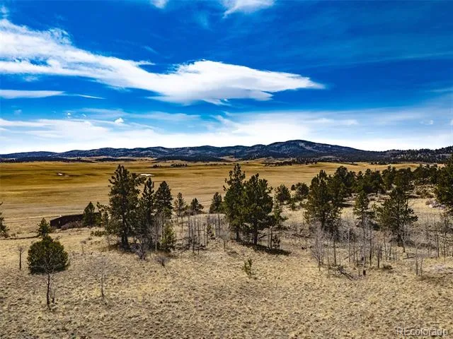 102 Pack Saddle Court Hartsel, CO 80449