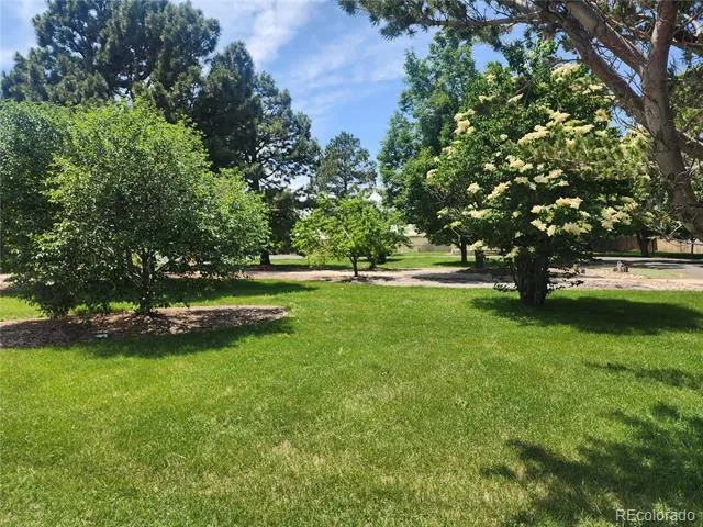 151 Potomac Street Aurora, CO 80011
