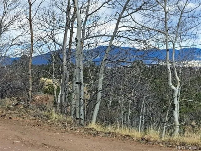 908 Raven Way Como, CO 80432