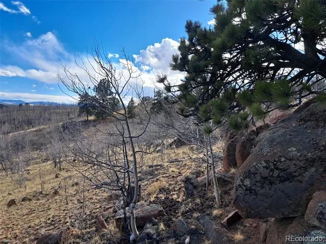 908 Raven Way Como, CO 80432