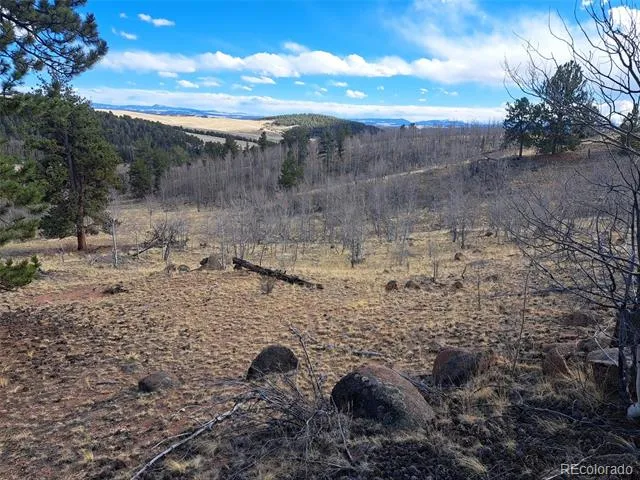 908 Raven Way Como, CO 80432