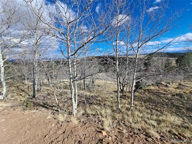 908 Raven Way Como, CO 80432