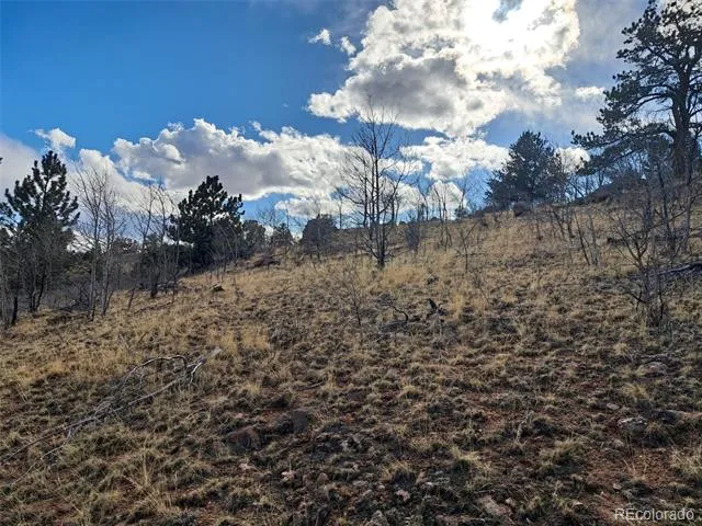 908 Raven Way Como, CO 80432