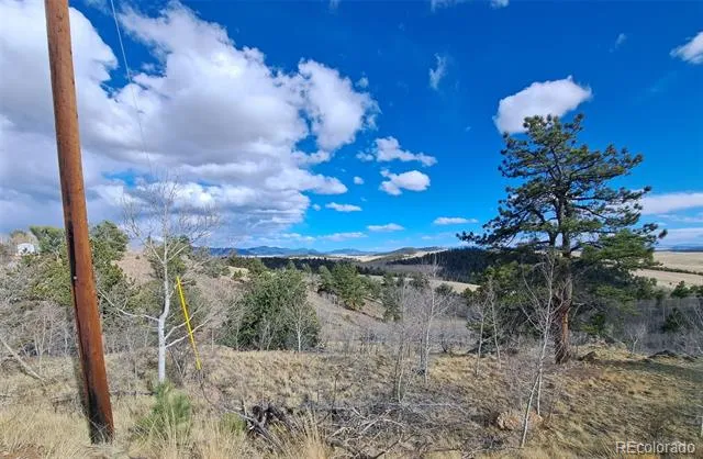 908 Raven Way Como, CO 80432