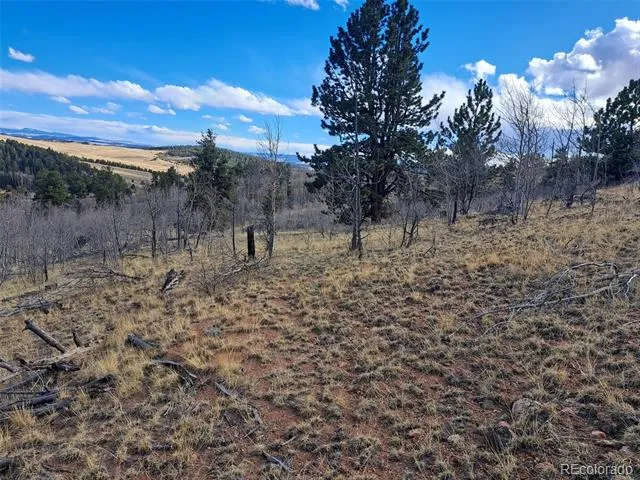 908 Raven Way Como, CO 80432