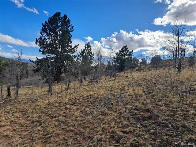 908 Raven Way Como, CO 80432