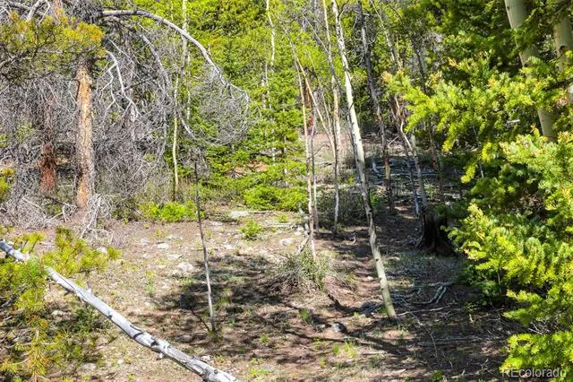 715 Lewsader Road Alma, CO 80420
