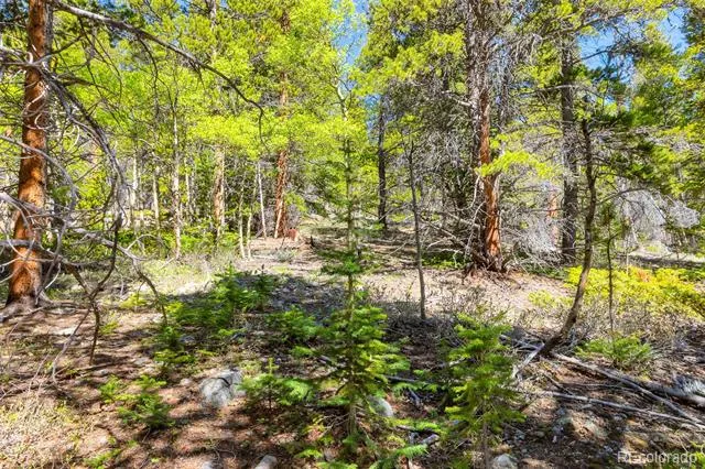 715 Lewsader Road Alma, CO 80420