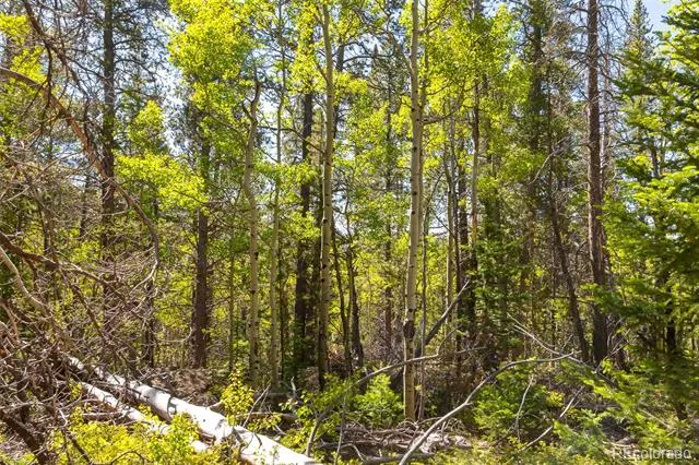 715 Lewsader Road Alma, CO 80420