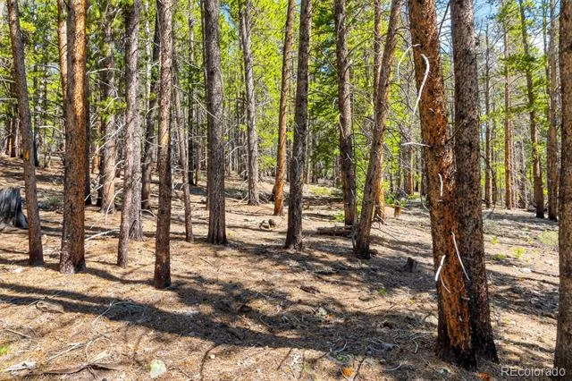 715 Lewsader Road Alma, CO 80420