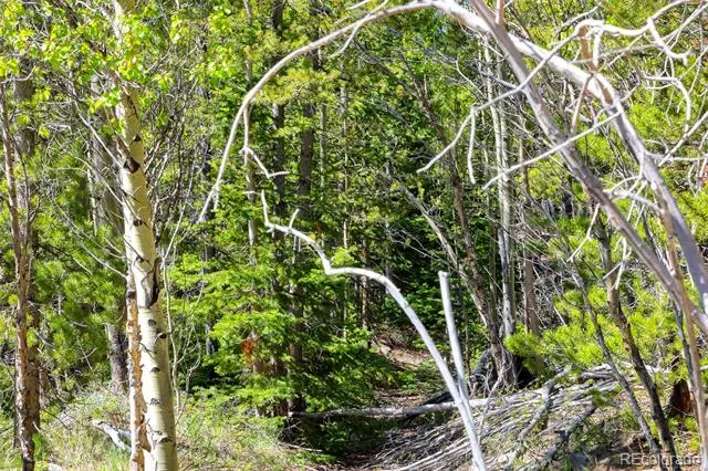 715 Lewsader Road Alma, CO 80420