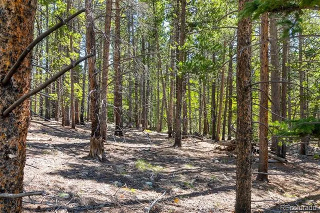 715 Lewsader Road Alma, CO 80420
